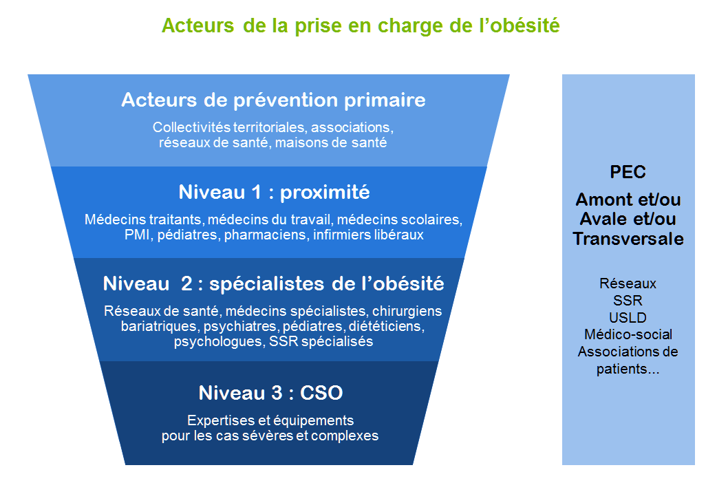Acteurs de la prise en charge de l'obésité