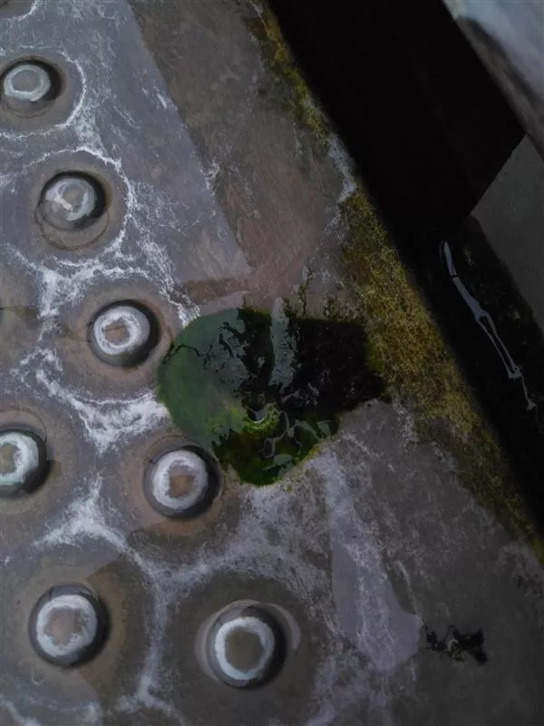 © Collectif du lac de Créteil 