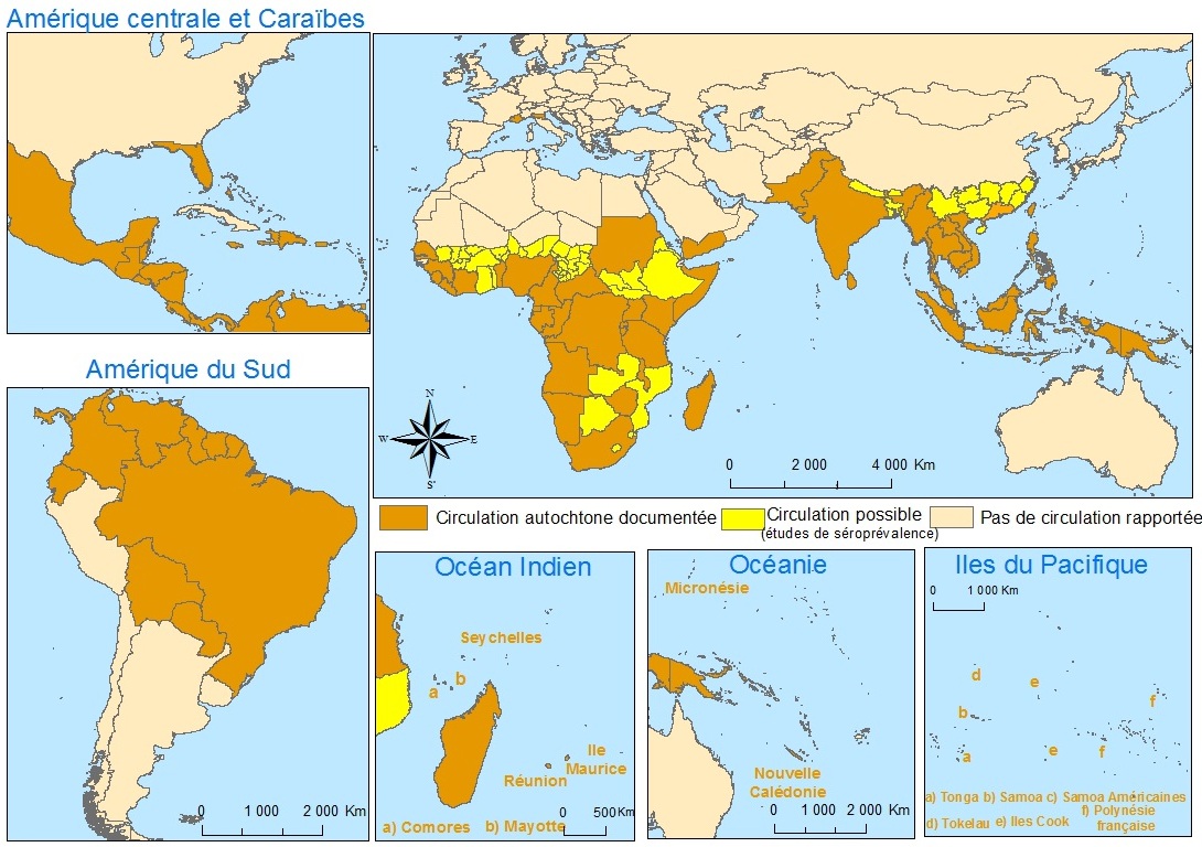 Chikungunya (INVS 2015)