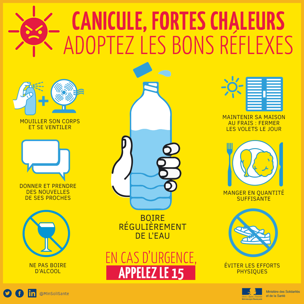 Canicule : adoptez les bons réflexes