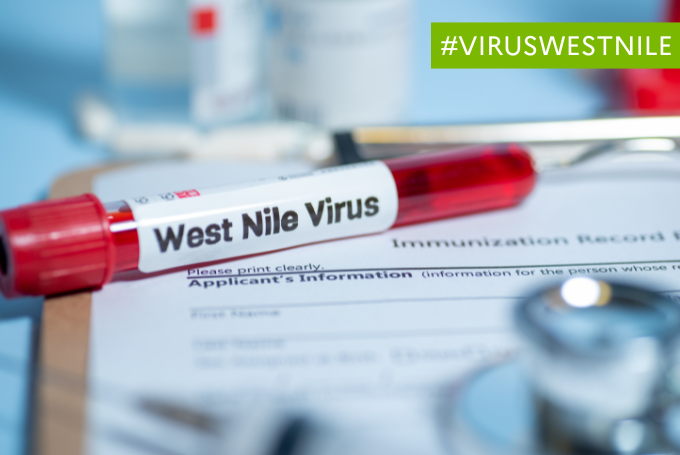 Virus du Nil occidental (ou west nile) : surveillance renforcée des cas du 1er mai au 30 novembre