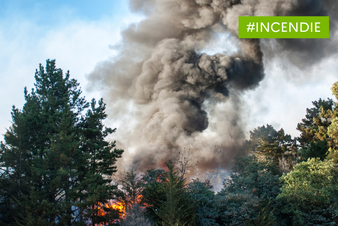 Incendies de la forêt de Fontainebleau : recommandations sanitaires