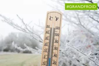 Grand froid