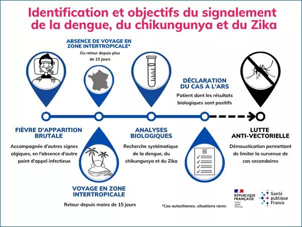 Infographie "Identification et objectifs du signalement de la dengue, du chikungunya et du Zika" réalisée par Santé publique France
