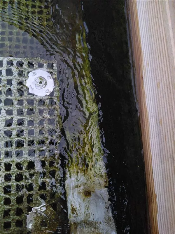 © Collectif du lac de Créteil 