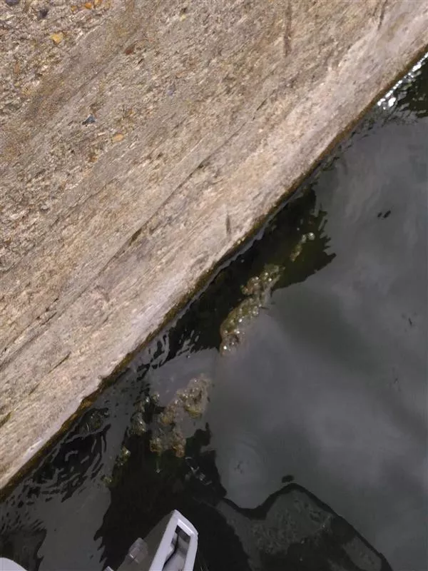 © Collectif du lac de Créteil 