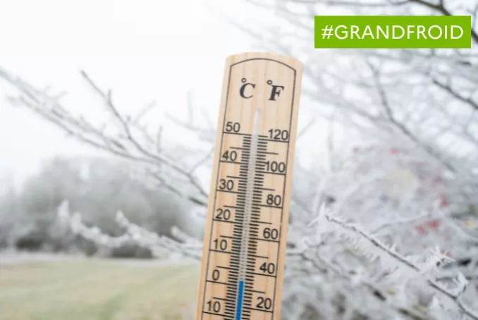 Grand froid